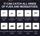 Aparelho elétrico Fly Bug, Armadilha luminosa de LED para matar mosquitos e pequenos insetos, com fonte de alimentação USB e adaptador.